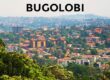 Tell me about Bugolobi.